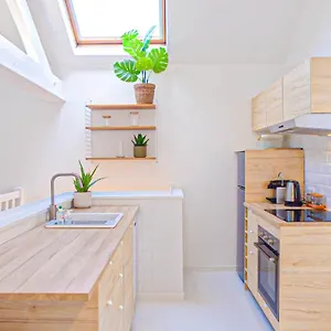  Appartement Magnifique En Hypercentre France